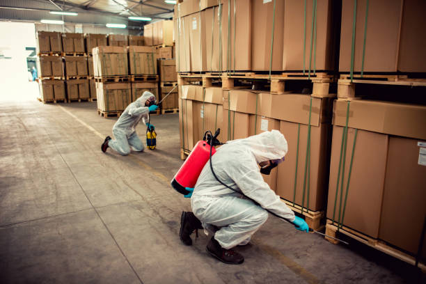 Best Bed Bug Extermination  in Bicknell, IN