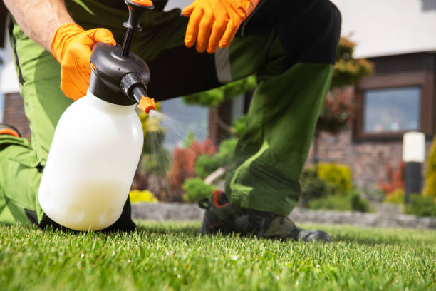 Best Commercial Pest Control Services  in Bicknell, IN